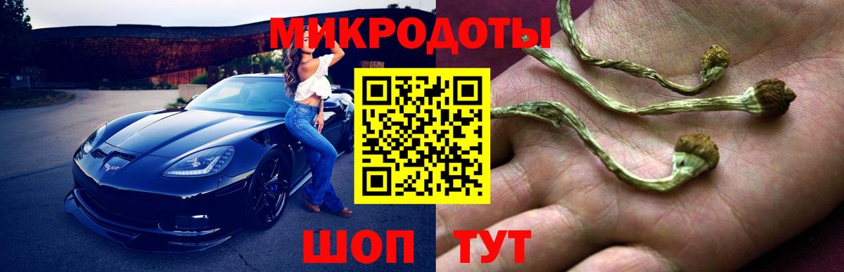 Галлюциногенные грибы Psilocybine cubensis Будённовск